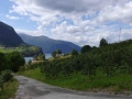 imgp3196