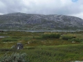noruega-fiordos-2-15