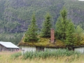 noruega-oslo-vik-024
