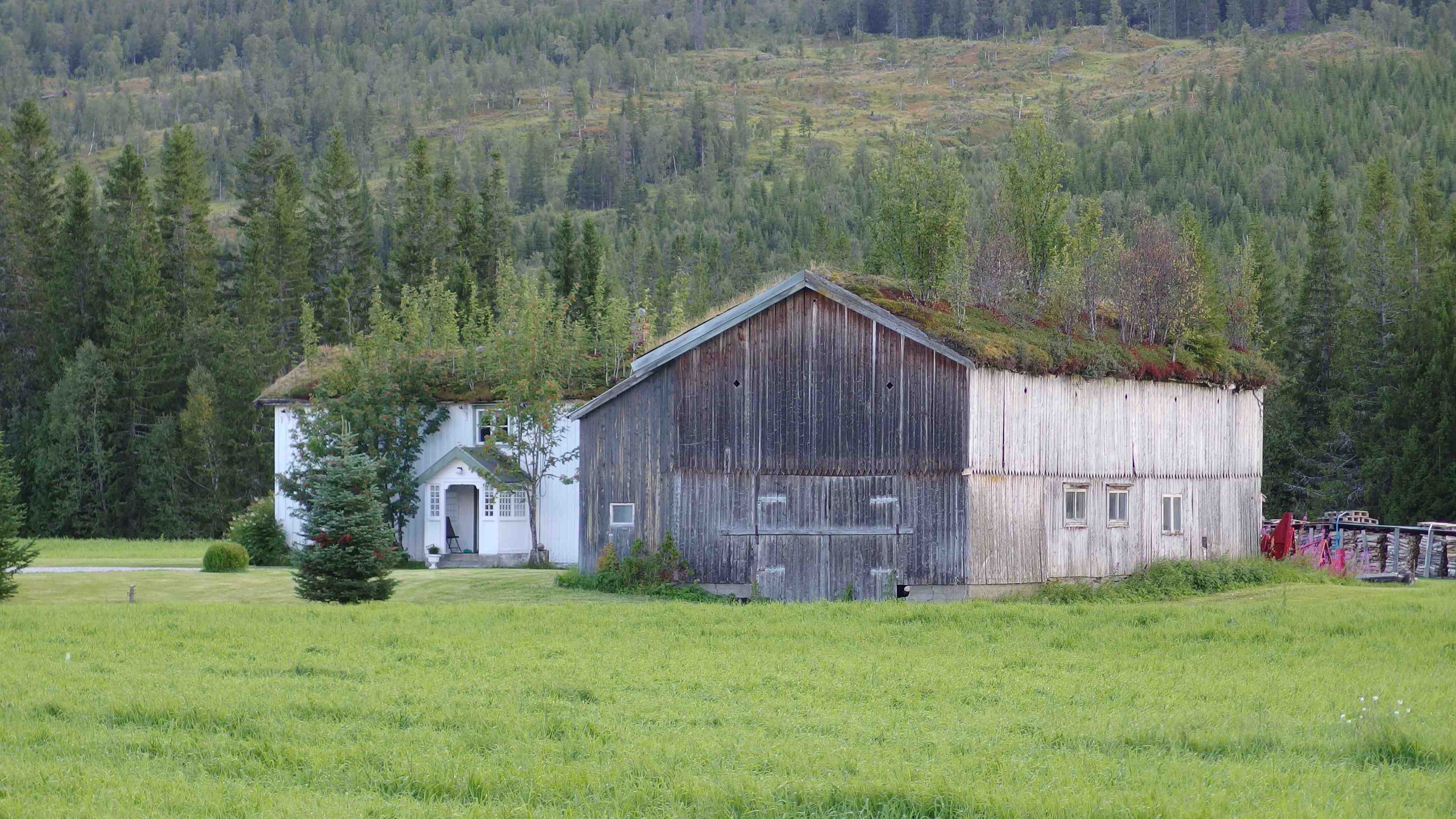 noruega-suecia-trondheim-mora-44