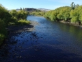 Rio Chimehuin