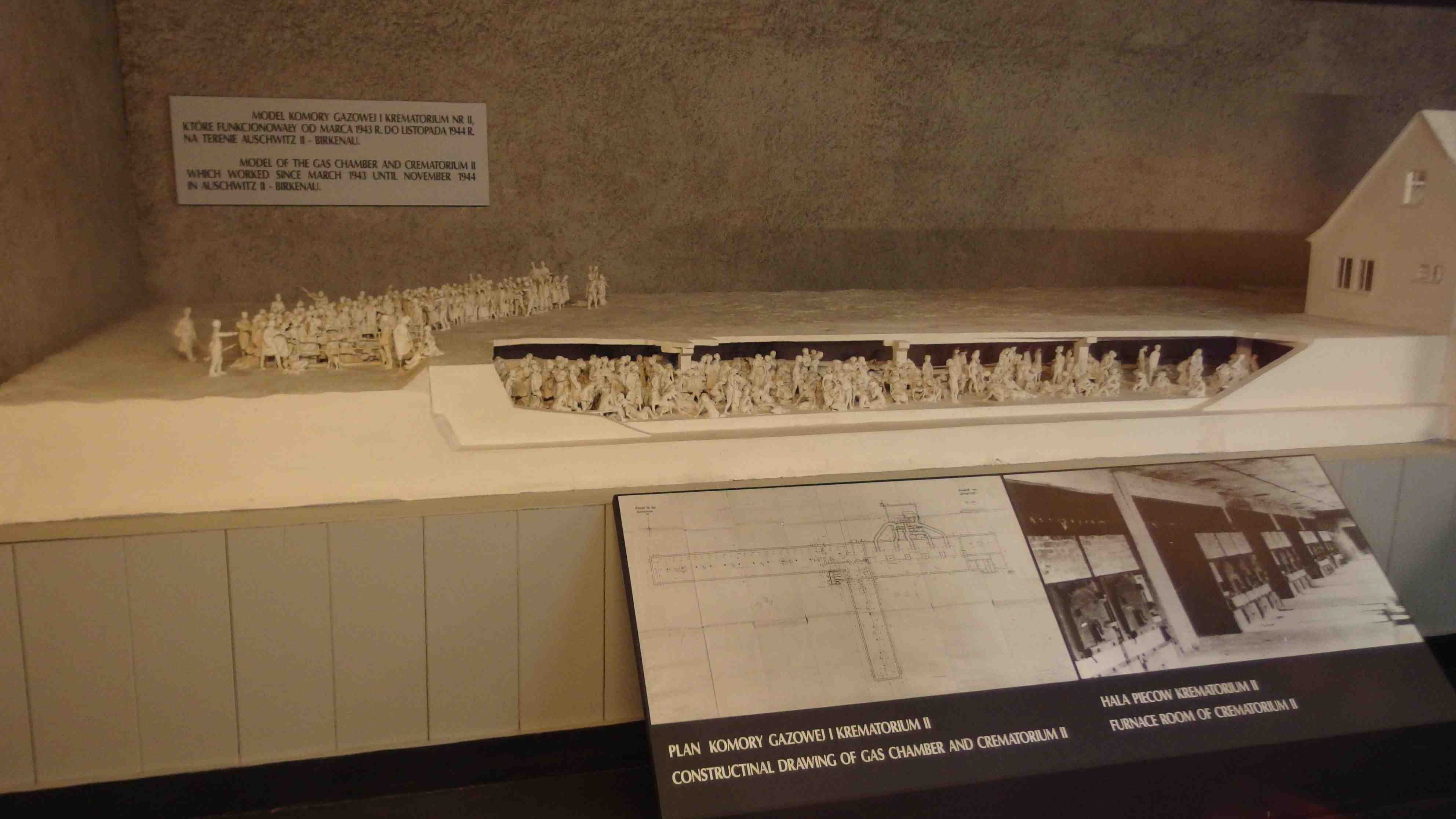 polonia-auschwitz-16