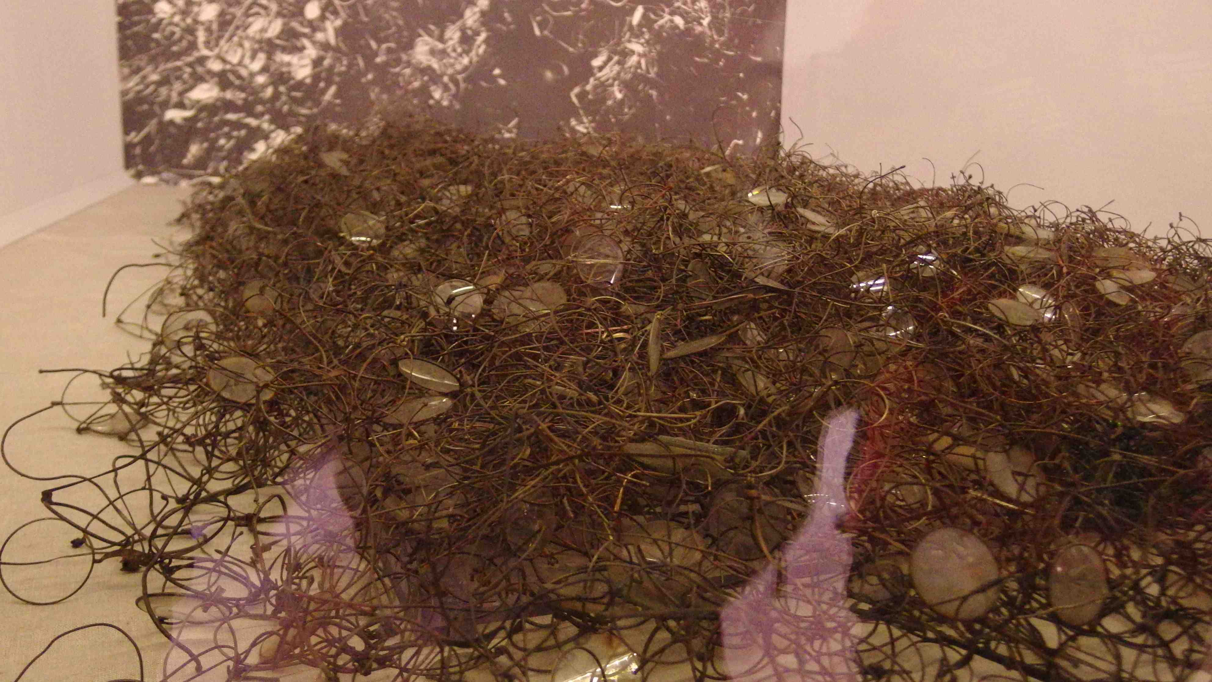 polonia-auschwitz-19