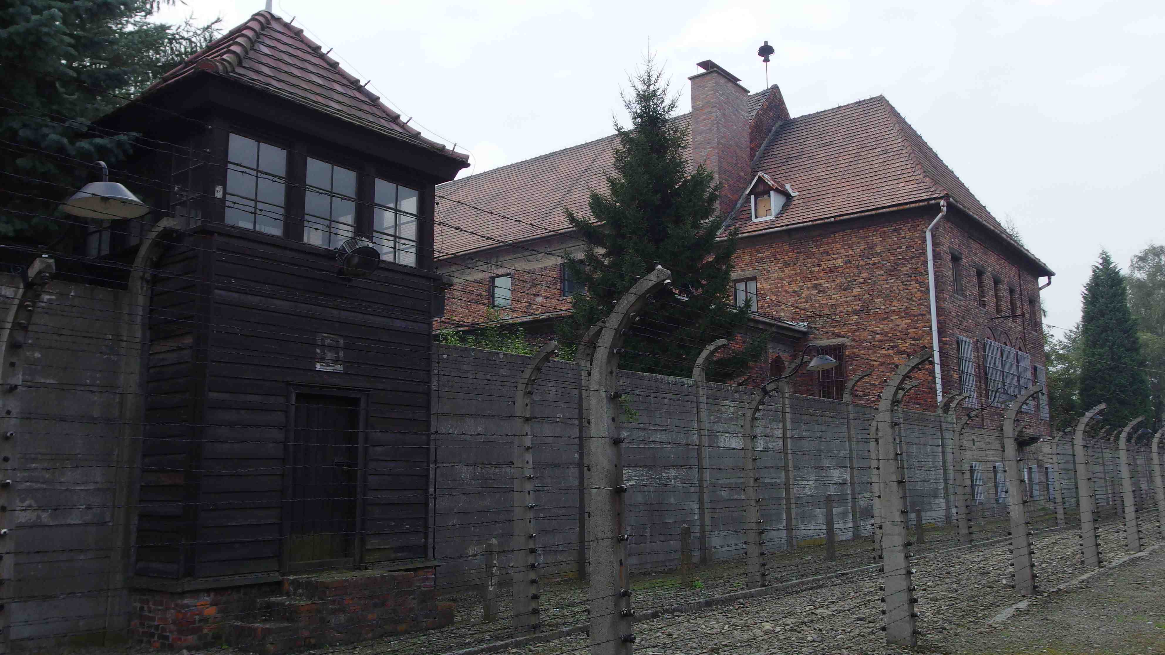polonia-auschwitz-36
