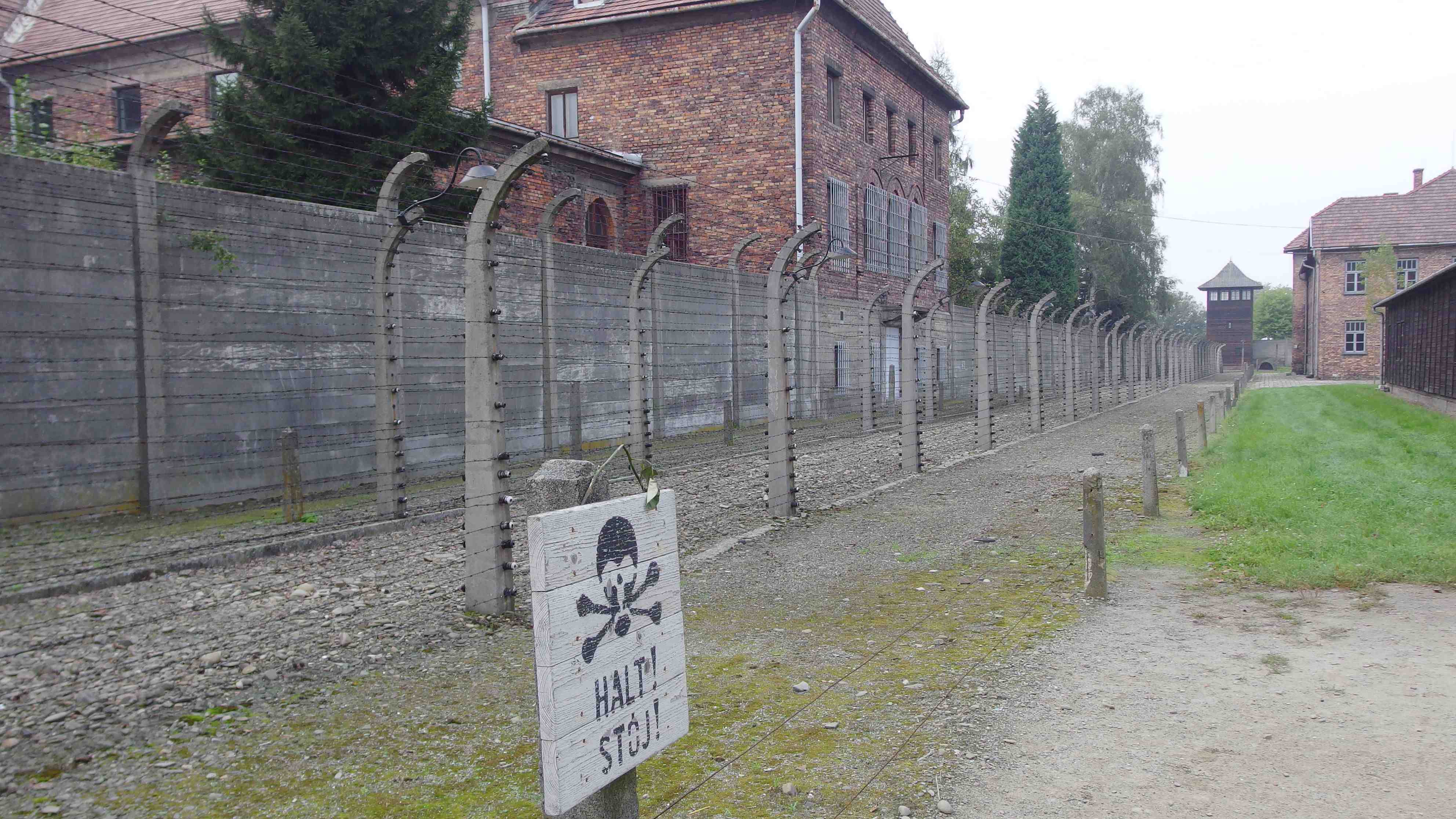 polonia-auschwitz-38