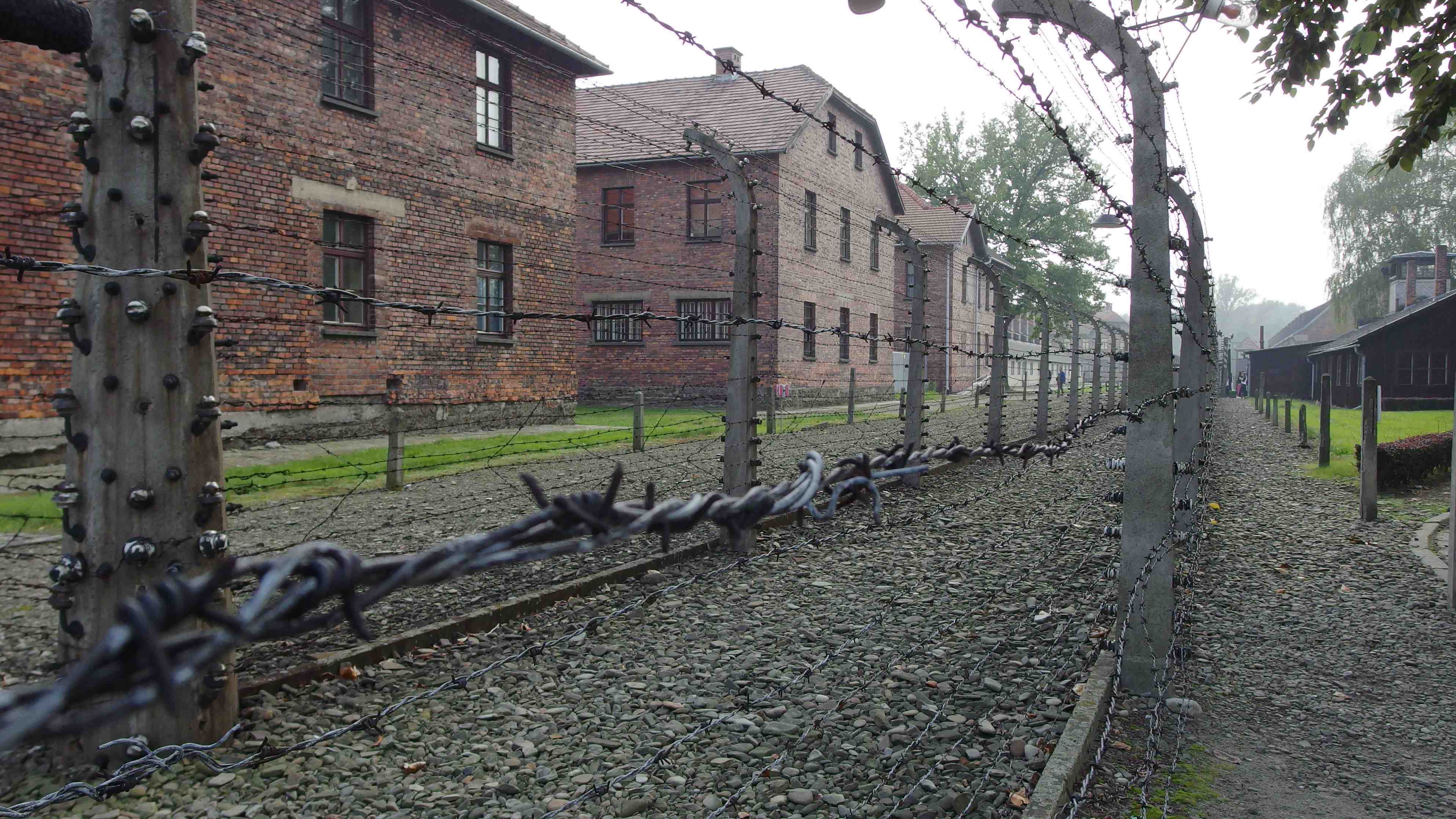 polonia-auschwitz-54
