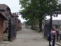 polonia-auschwitz-04
