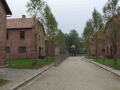 polonia-auschwitz-08