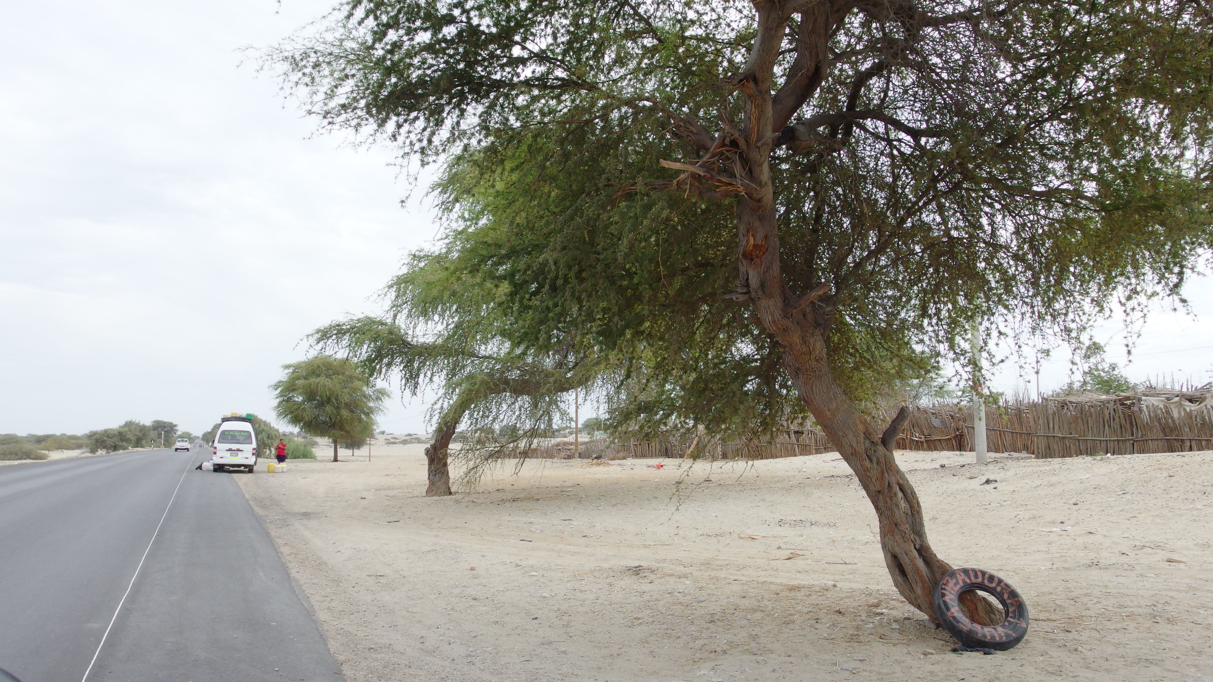 Ruta desertica