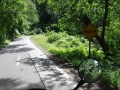 Ruta 9