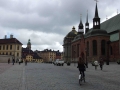 suecia-estocolmo-uppsala-096