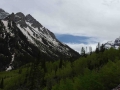 Aspen