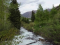 Aspen
