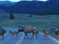 Yellowstone National Park