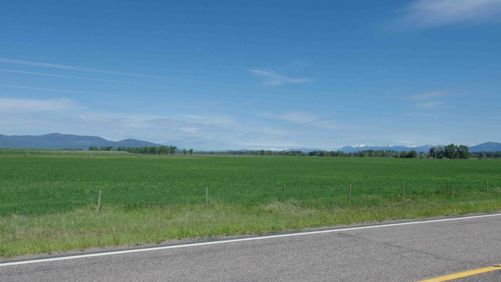 Campos en Montana